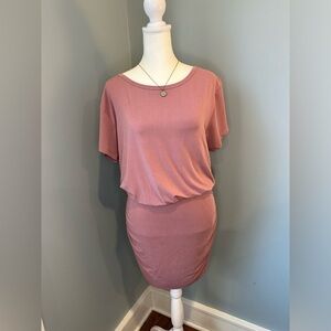 NWOT blush stretchy dress